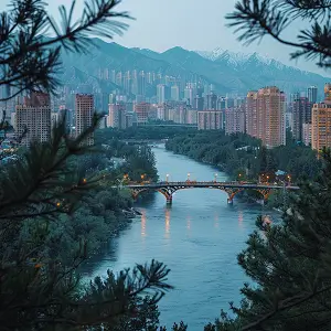 咒字的笔顺怎么写，正确写法详解