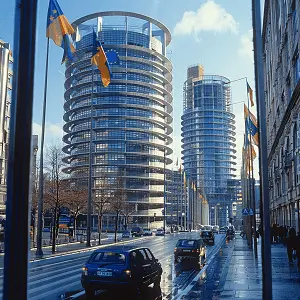 什么是法律的动图