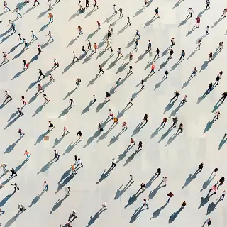 医生和法律有什么共性