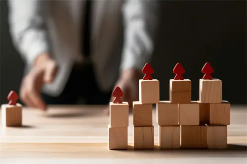 完善法律需要什么能力